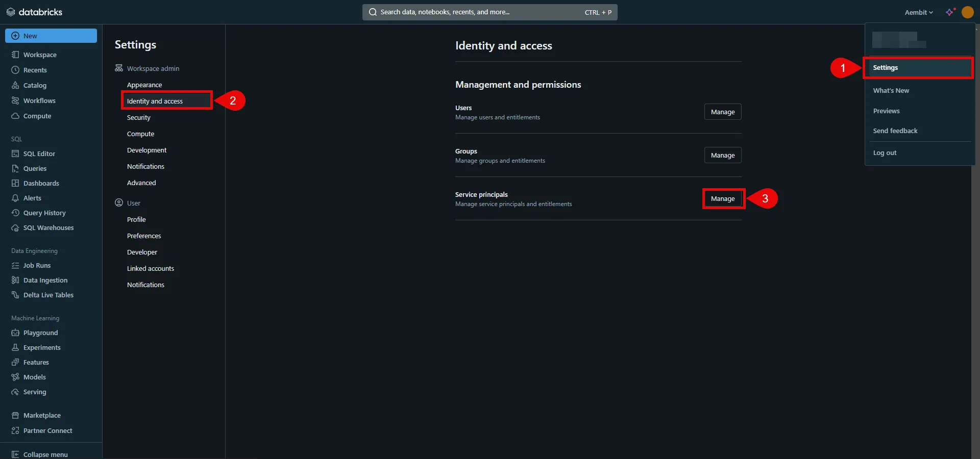 Databricks Service principals
