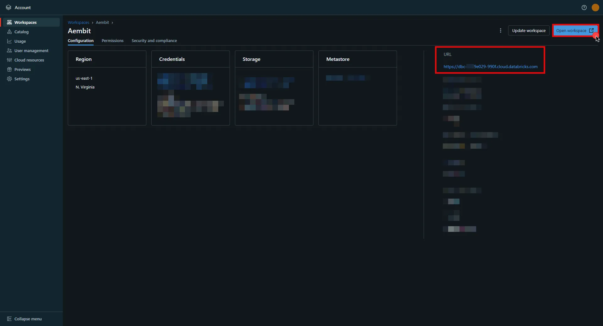 Databricks Workspace Details