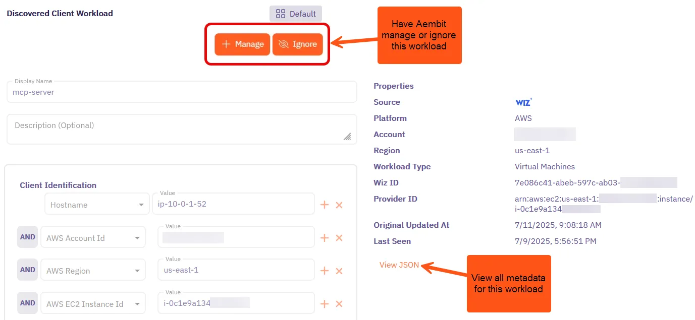 Discovered Client Workload details page