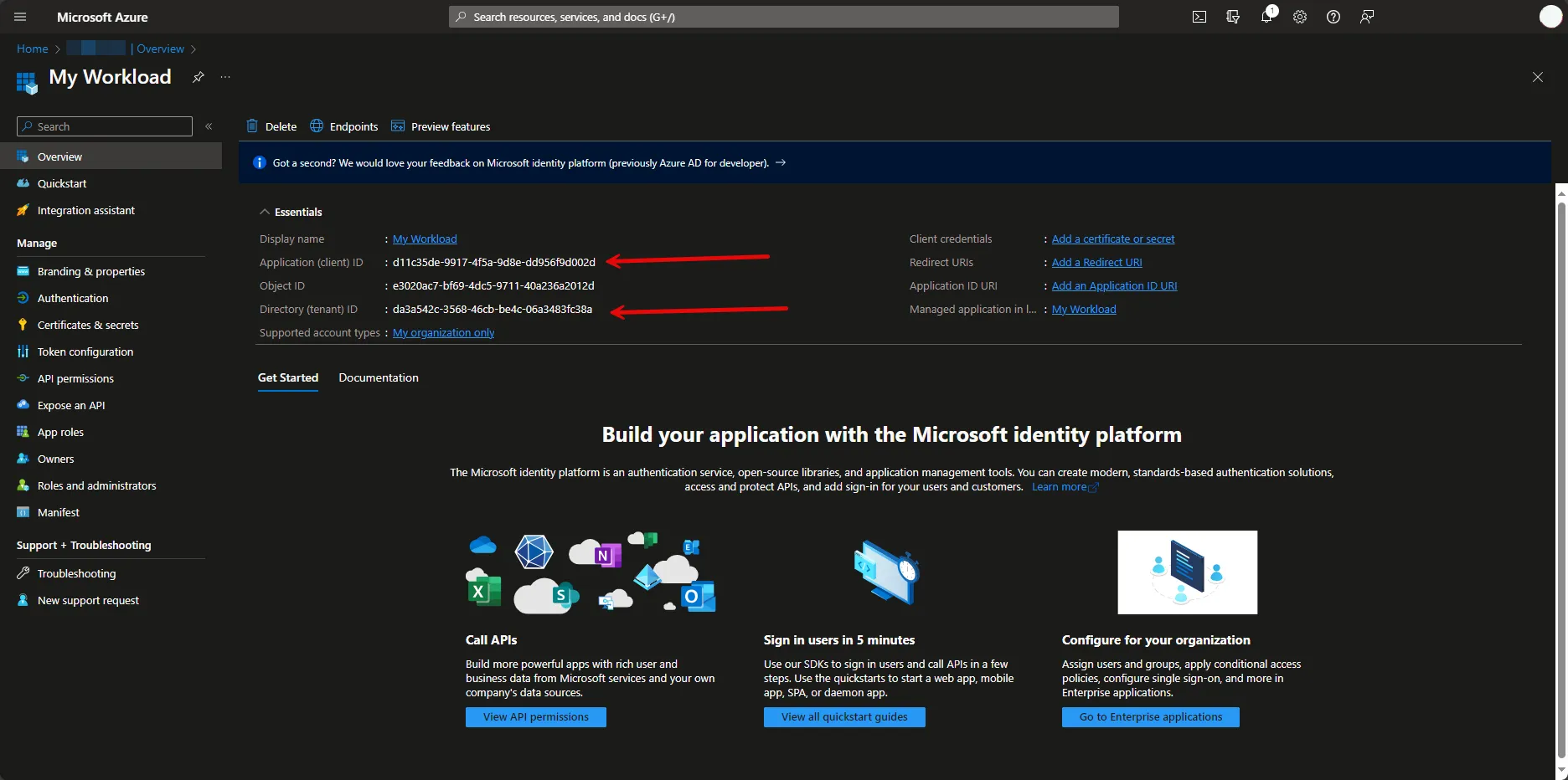 Overview | Copy Client ID and Tenant ID
