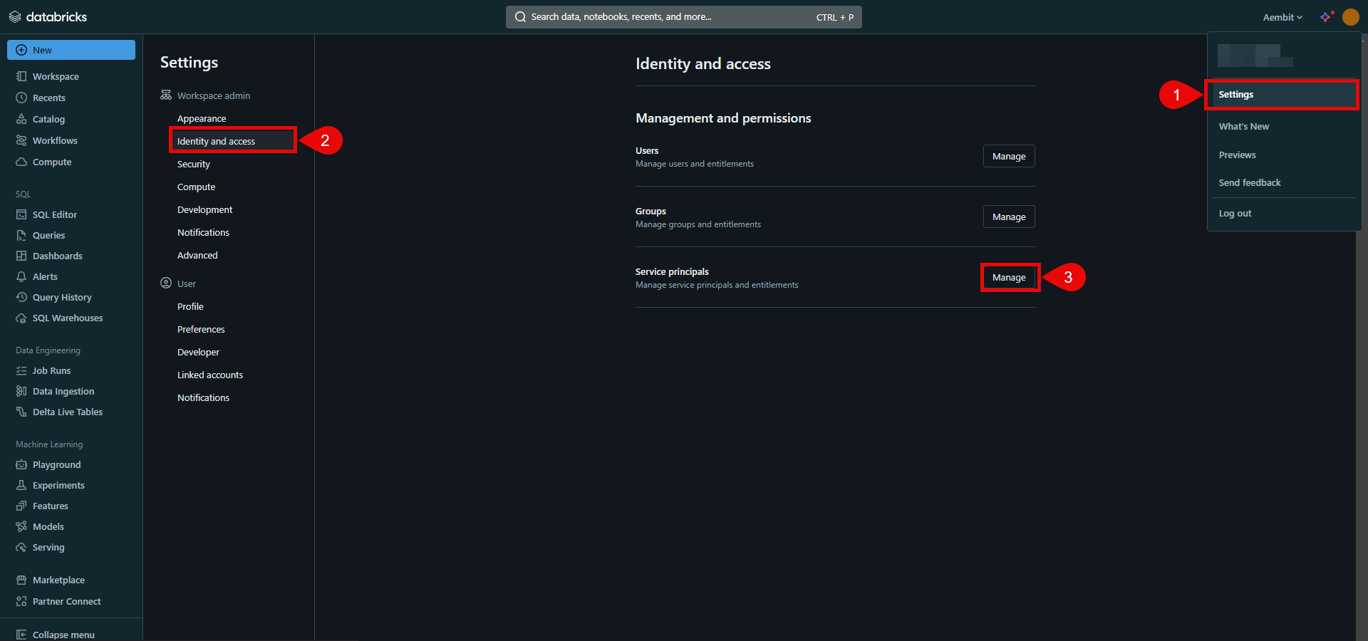 Databricks Service principals