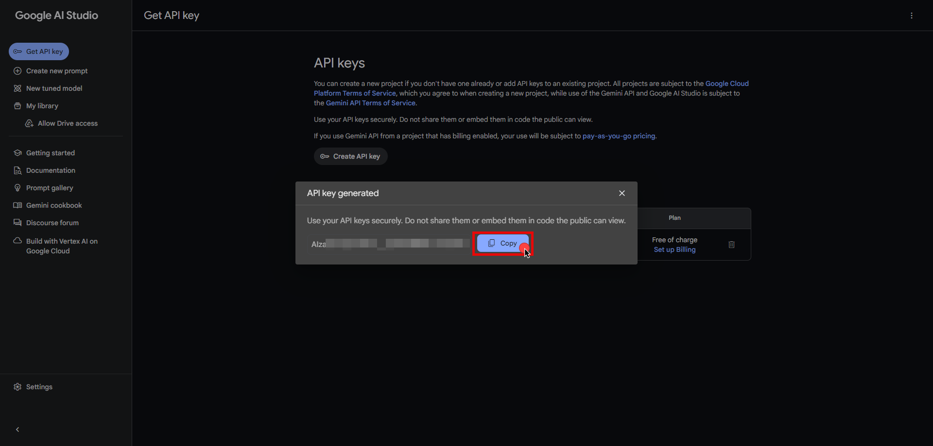 Copy API key