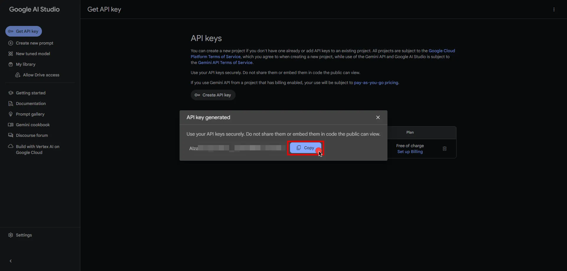 Copy API key
