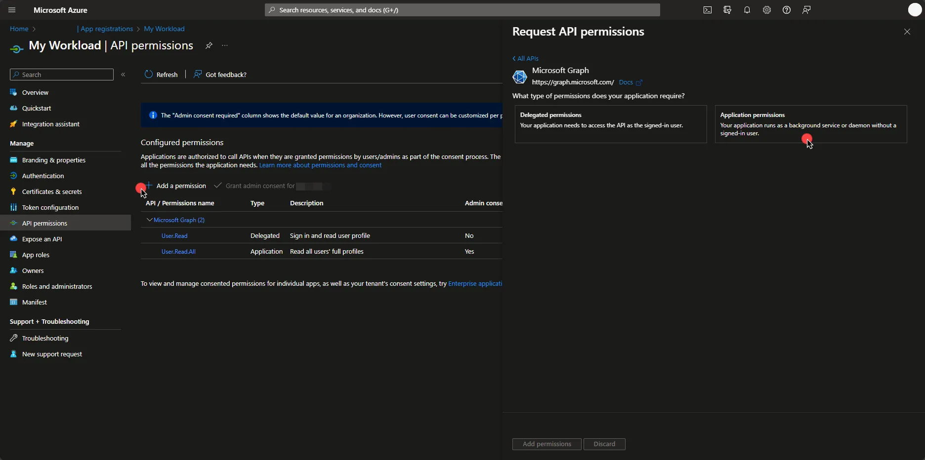 Set API Permissions