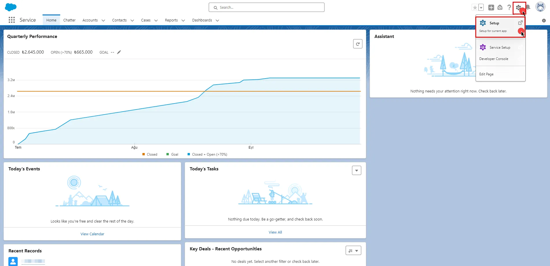Salesforce Setup