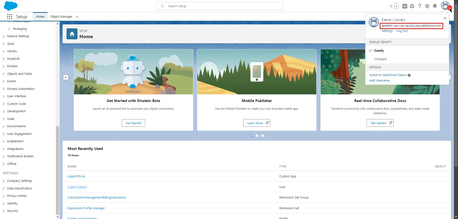 Salesforce endpoint